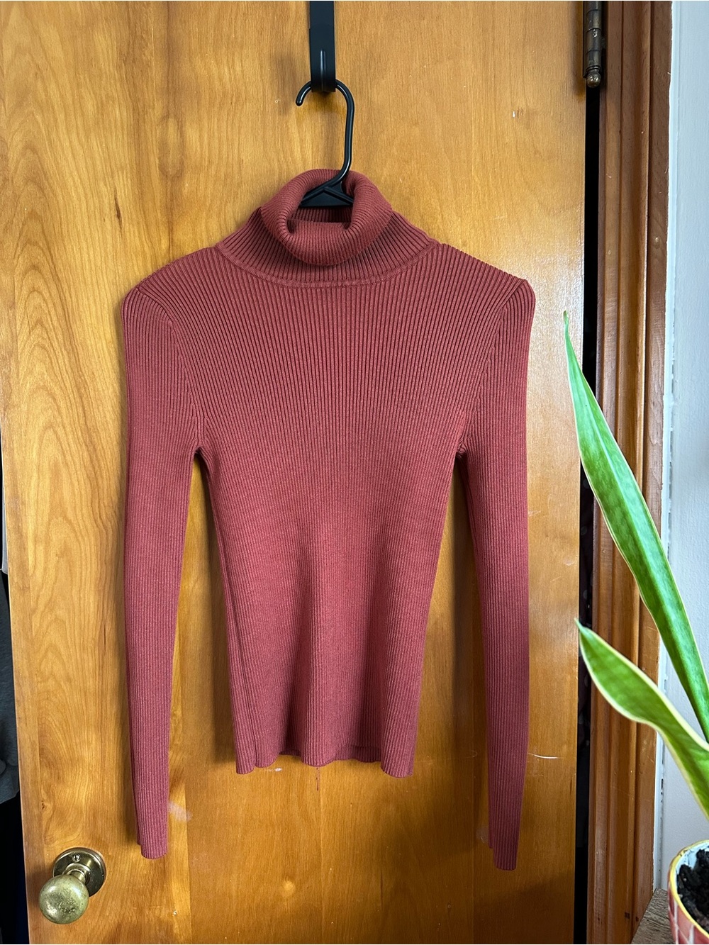 Forever 21 Rust Ribbed Turtleneck Sweater